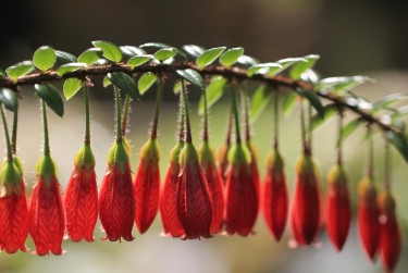 肇庆鼎湖私人快速借钱网，轻松解决资金难题