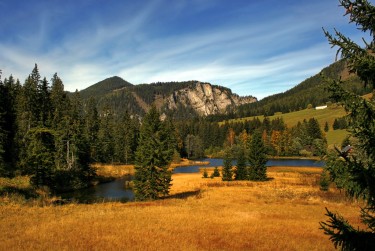 肇庆鼎湖民间私贷攻略：揭秘低成本借贷的秘密