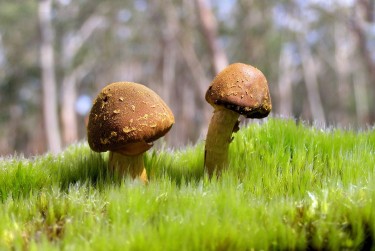 肇庆鼎湖私人老板放款：轻松融资的秘密通道